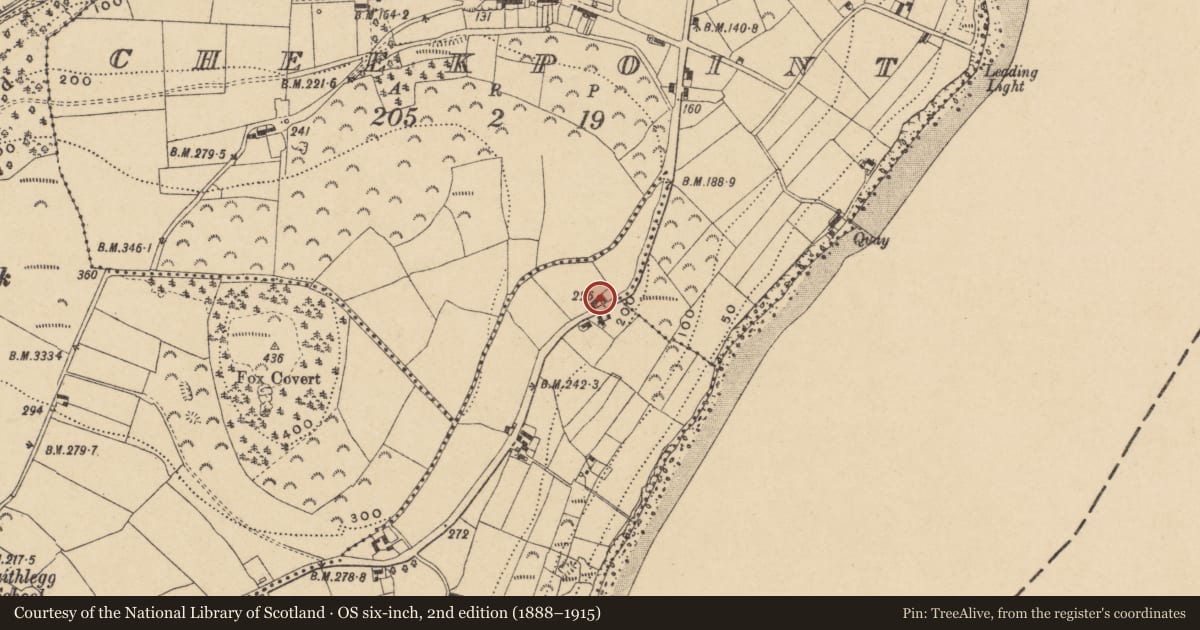 Ordnance Survey six-inch map, 2nd edition (1888–1915) covering the location of Enclosure, Coolbunnia, County Waterford, with a pin at the register's coordinates