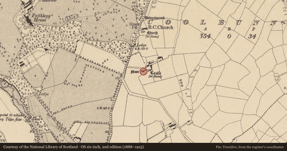 Ordnance Survey six-inch map, 2nd edition (1888–1915) covering the location of Castle - motte, Coolbunnia, County Waterford, with a pin at the register's coordinates