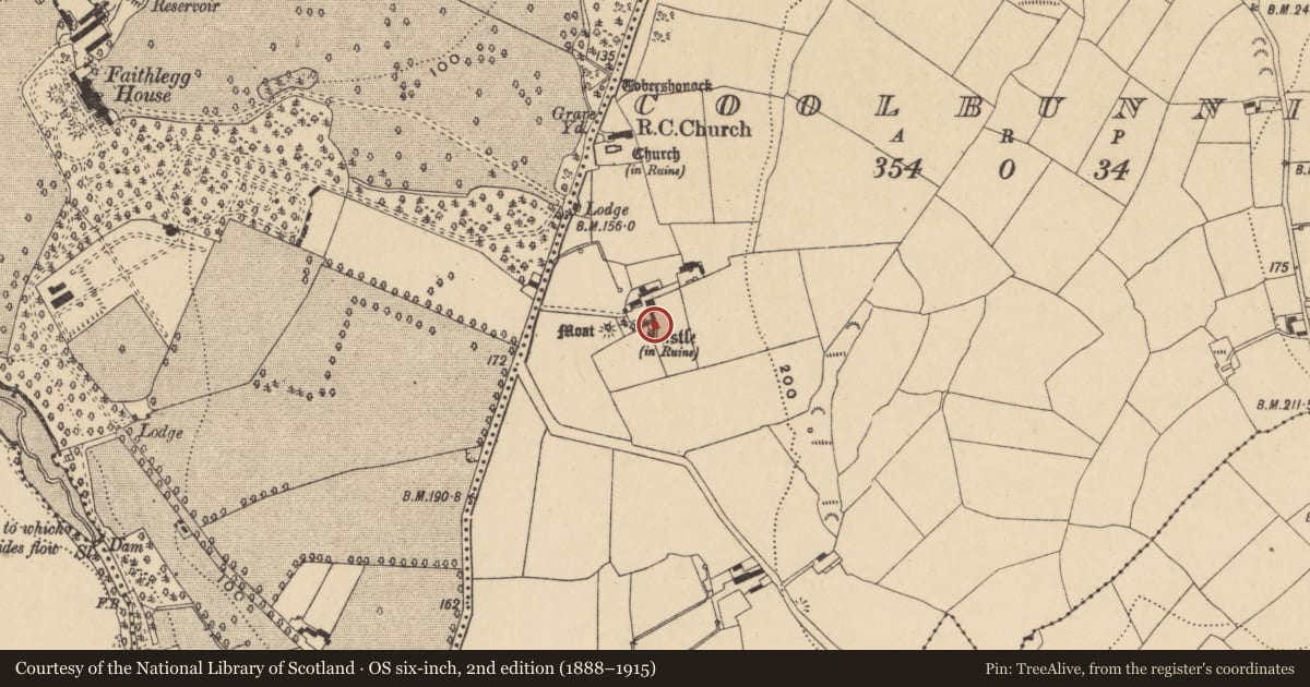 Ordnance Survey six-inch map, 2nd edition (1888–1915) covering the location of Castle - tower house, Coolbunnia, County Waterford, with a pin at the register's coordinates