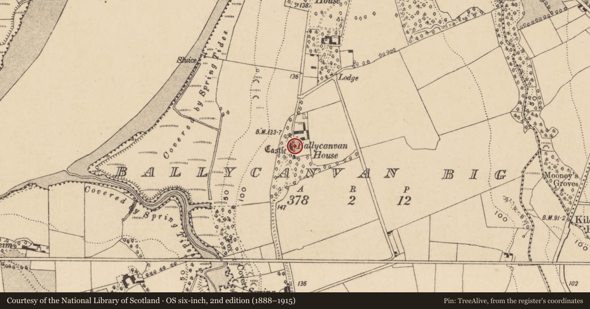 Ordnance Survey six-inch map, 2nd edition (1888–1915) covering the location of Castle - tower house, Ballycanvan Big, County Waterford, with a pin at the register's coordinates