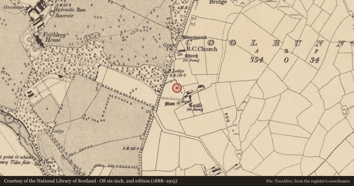 Ordnance Survey six-inch map, 2nd edition (1888–1915) covering the location of Settlement cluster, Coolbunnia, County Waterford, with a pin at the register's coordinates