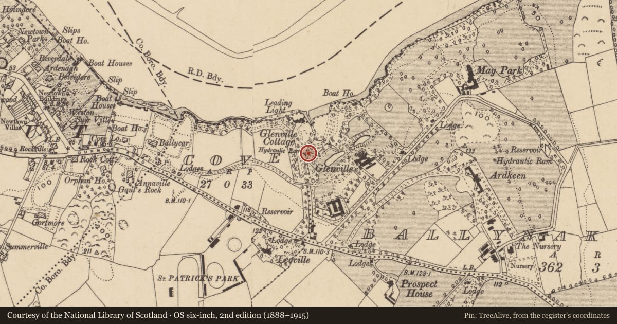 Ordnance Survey six-inch map, 2nd edition (1888–1915) covering the location of Fulacht fia, Cove, County Waterford, with a pin at the register's coordinates