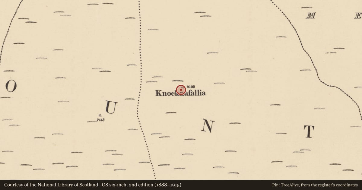 Ordnance Survey six-inch map, 2nd edition (1888–1915) covering the location of Cist, Glennafallia, County Waterford, with a pin at the register's coordinates