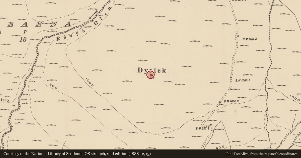 Ordnance Survey six-inch map, 2nd edition (1888–1915) covering the location of Cairn - unclassified, Dyrick Lower, County Waterford, with a pin at the register's coordinates