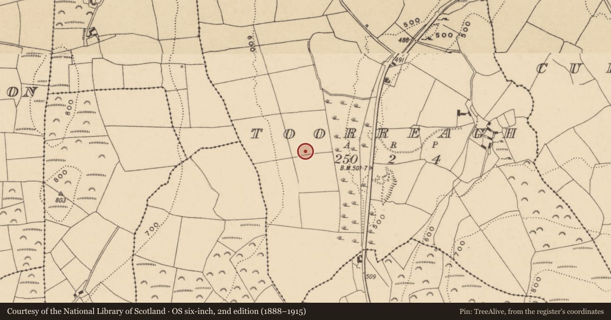 Ordnance Survey six-inch map, 2nd edition (1888–1915) covering the location of Ringfort - unclassified, Toorreagh, County Waterford, with a pin at the register's coordinates