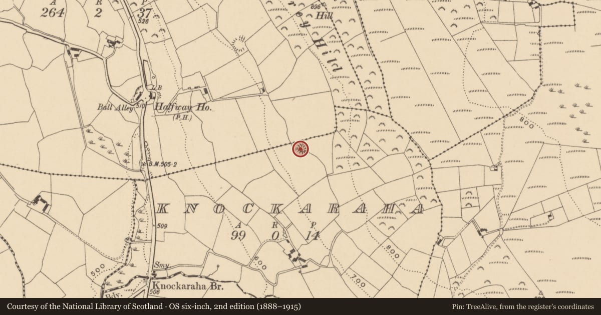 Ordnance Survey six-inch map, 2nd edition (1888–1915) covering the location of Ringfort - rath, Knockaraha, County Waterford, with a pin at the register's coordinates