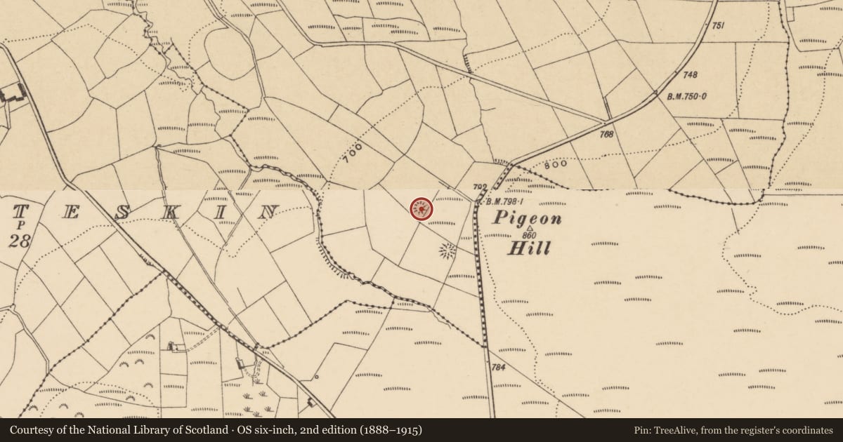 Ordnance Survey six-inch map, 2nd edition (1888–1915) covering the location of Barrow - ring-barrow, Castlereagh, County Waterford, with a pin at the register's coordinates