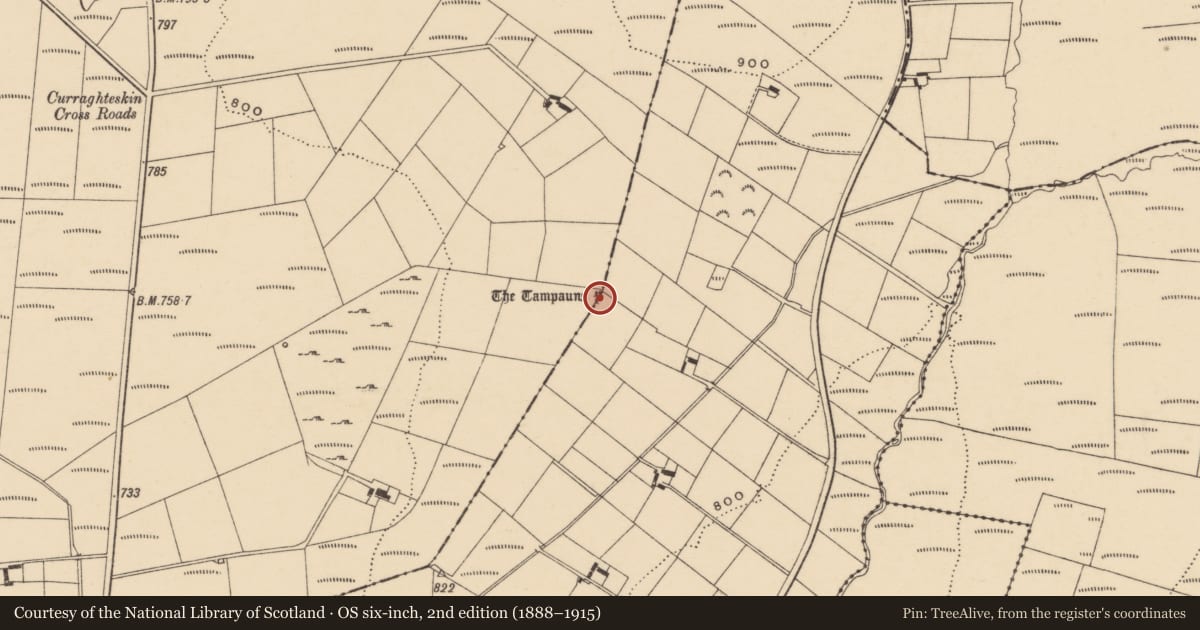Ordnance Survey six-inch map, 2nd edition (1888–1915) covering the location of Stone row, Reanadampaun Commons, Reanadampaun Commons, County Waterford, with a pin at the register's coordinates