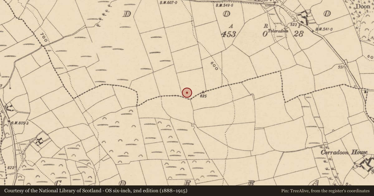 Ordnance Survey six-inch map, 2nd edition (1888–1915) covering the location of Standing stone, Doon, County Waterford, with a pin at the register's coordinates