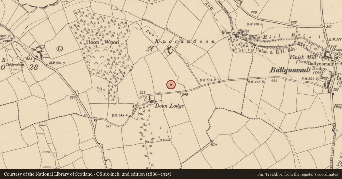 Ordnance Survey six-inch map, 2nd edition (1888–1915) covering the location of Ringfort - unclassified, Doon, County Waterford, with a pin at the register's coordinates