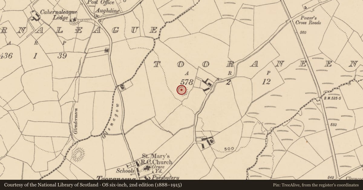 Ordnance Survey six-inch map, 2nd edition (1888–1915) covering the location of Ringfort - rath, Tooraneena, County Waterford, with a pin at the register's coordinates