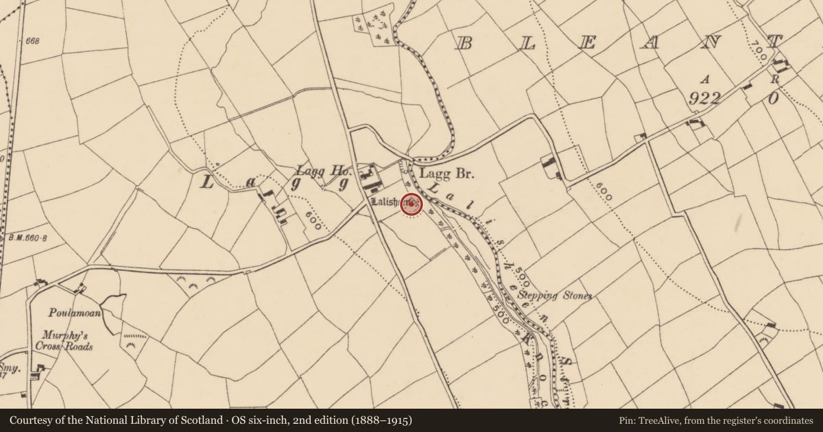 Ordnance Survey six-inch map, 2nd edition (1888–1915) covering the location of Ringfort - rath, Knockboy (Decies without Drum By., Seskinan Par.), County Waterford, with a pin at the register's coordinates