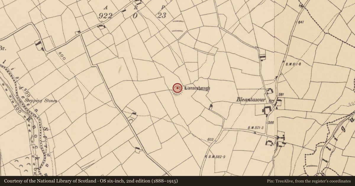 Ordnance Survey six-inch map, 2nd edition (1888–1915) covering the location of Ringfort - rath, Bleantasour, County Waterford, with a pin at the register's coordinates