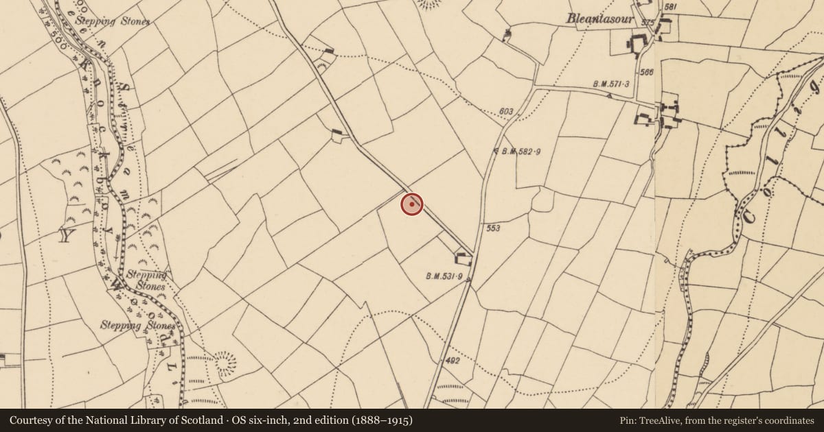 Ordnance Survey six-inch map, 2nd edition (1888–1915) covering the location of Ringfort - rath, Bleantasour, County Waterford, with a pin at the register's coordinates