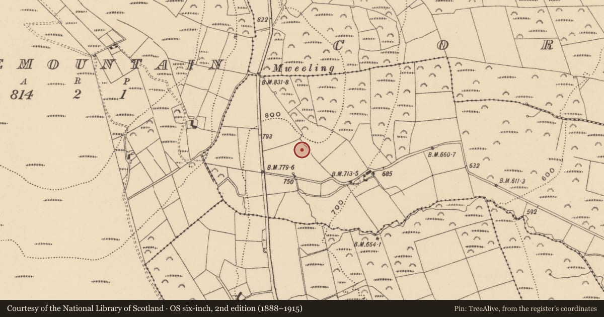 Ordnance Survey six-inch map, 2nd edition (1888–1915) covering the location of Hut site, Ballynaguilkee Upper, County Waterford, with a pin at the register's coordinates