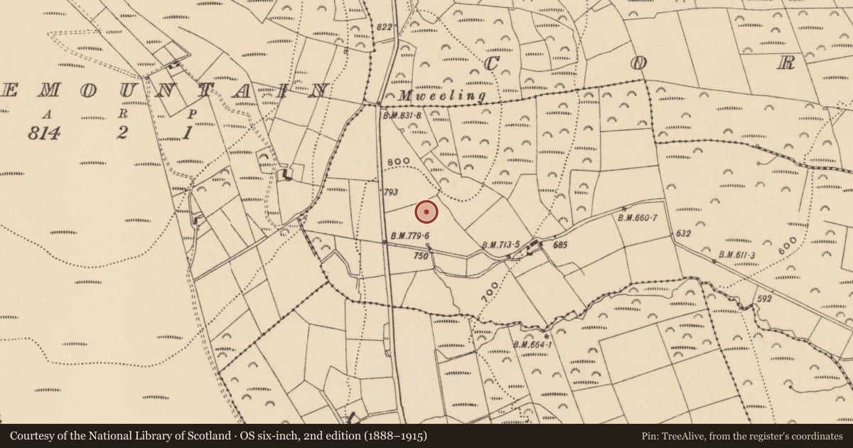 Ordnance Survey six-inch map, 2nd edition (1888–1915) covering the location of Standing stone, Ballynaguilkee Upper, County Waterford, with a pin at the register's coordinates