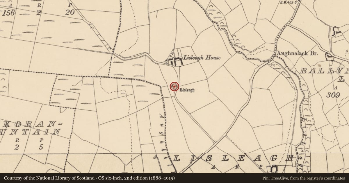 Ordnance Survey six-inch map, 2nd edition (1888–1915) covering the location of Ringfort - rath, Lisleagh, County Waterford, with a pin at the register's coordinates