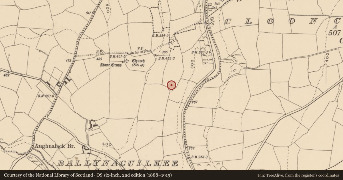 Ordnance Survey six-inch map, 2nd edition (1888–1915) covering the location of Ringfort - rath, Ballynaguilkee Lower, County Waterford, with a pin at the register's coordinates