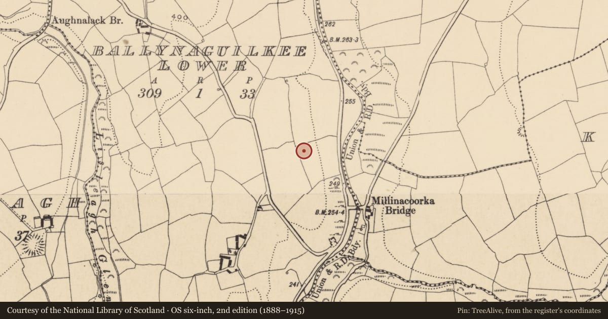 Ordnance Survey six-inch map, 2nd edition (1888–1915) covering the location of Ringfort - unclassified, Ballynaguilkee Lower, County Waterford, with a pin at the register's coordinates