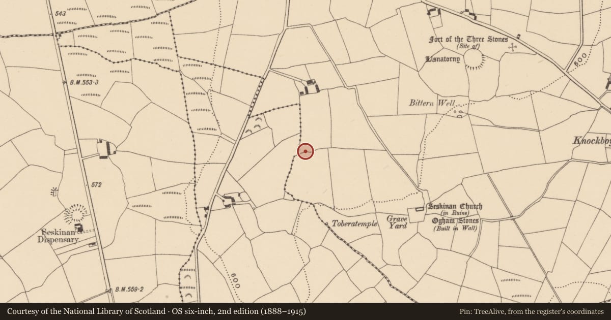 Ordnance Survey six-inch map, 2nd edition (1888–1915) covering the location of Enclosure, Knockboy (Decies without Drum By., Seskinan Par.), County Waterford, with a pin at the register's coordinates