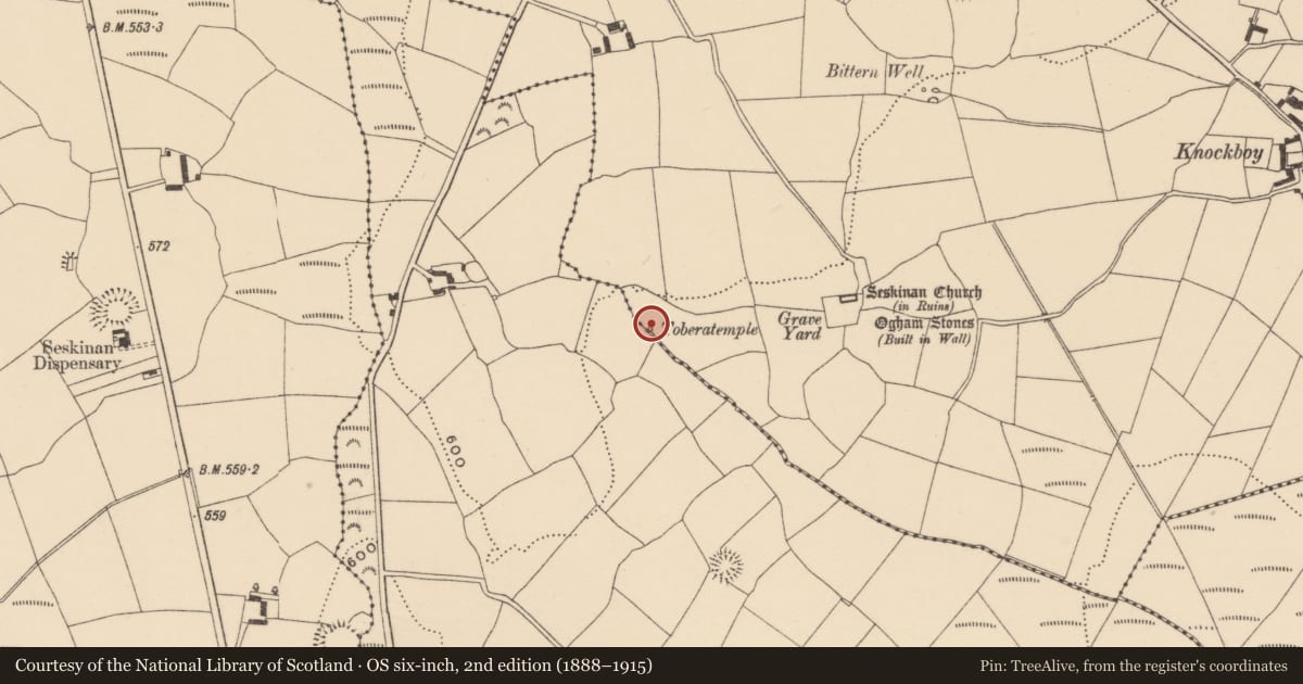 Ordnance Survey six-inch map, 2nd edition (1888–1915) covering the location of Burnt mound, Knockboy (Decies without Drum By., Seskinan Par.), County Waterford, with a pin at the register's coordinates