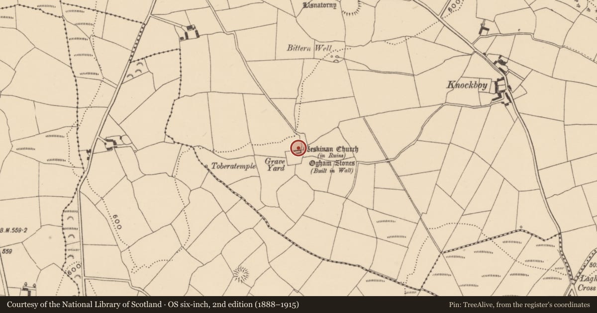 Ordnance Survey six-inch map, 2nd edition (1888–1915) covering the location of Ogham stone, Knockboy (Decies without Drum By., Seskinan Par.), County Waterford, with a pin at the register's coordinates