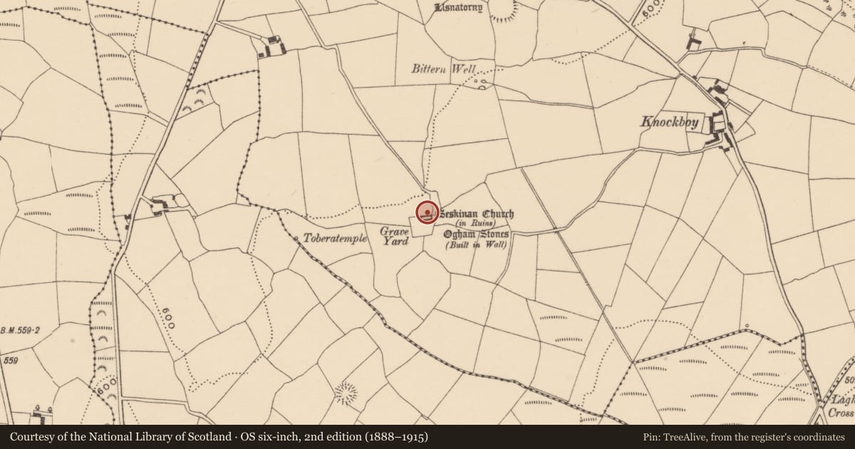 Ordnance Survey six-inch map, 2nd edition (1888–1915) covering the location of Ogham stone, Knockboy (Decies without Drum By., Seskinan Par.), County Waterford, with a pin at the register's coordinates