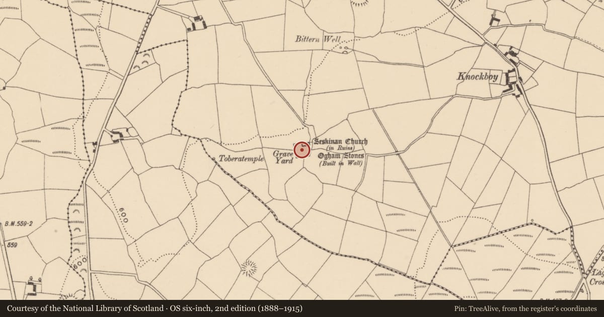 Ordnance Survey six-inch map, 2nd edition (1888–1915) covering the location of Cross-inscribed stone, Knockboy (Decies without Drum By., Seskinan Par.), County Waterford, with a pin at the register's coordinates