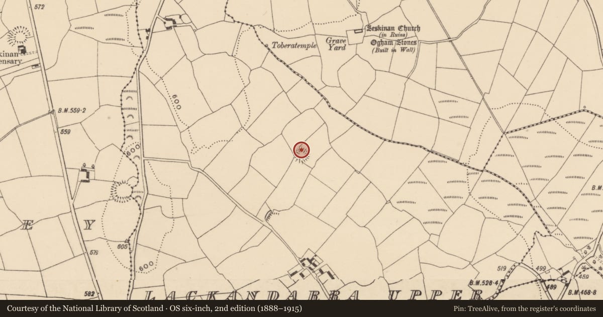 Ordnance Survey six-inch map, 2nd edition (1888–1915) covering the location of Ringfort - rath, Lackandarra Upper, County Waterford, with a pin at the register's coordinates