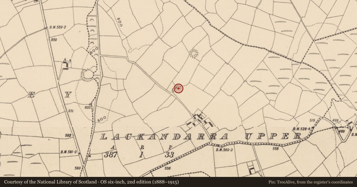 Ordnance Survey six-inch map, 2nd edition (1888–1915) covering the location of Ringfort - rath, Lackandarra Upper, County Waterford, with a pin at the register's coordinates