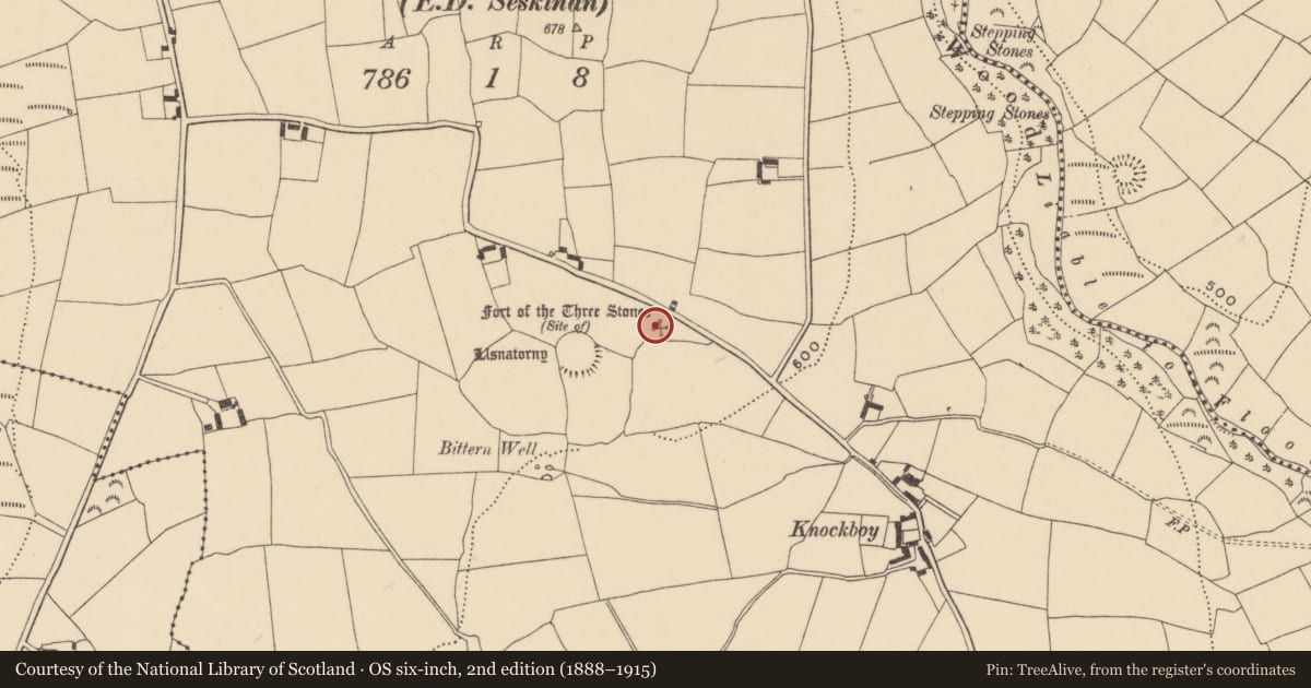 Ordnance Survey six-inch map, 2nd edition (1888–1915) covering the location of Stone row, Knockboy (Decies without Drum By., Seskinan Par.), County Waterford, with a pin at the register's coordinates