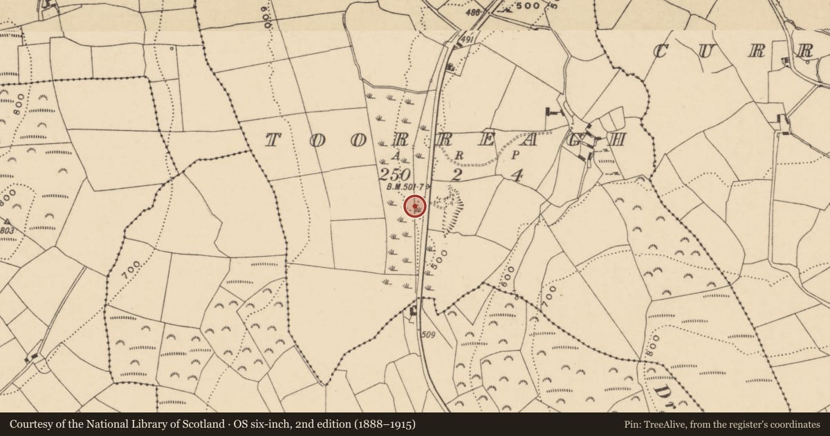 Ordnance Survey six-inch map, 2nd edition (1888–1915) covering the location of Burnt mound, Toorreagh, County Waterford, with a pin at the register's coordinates