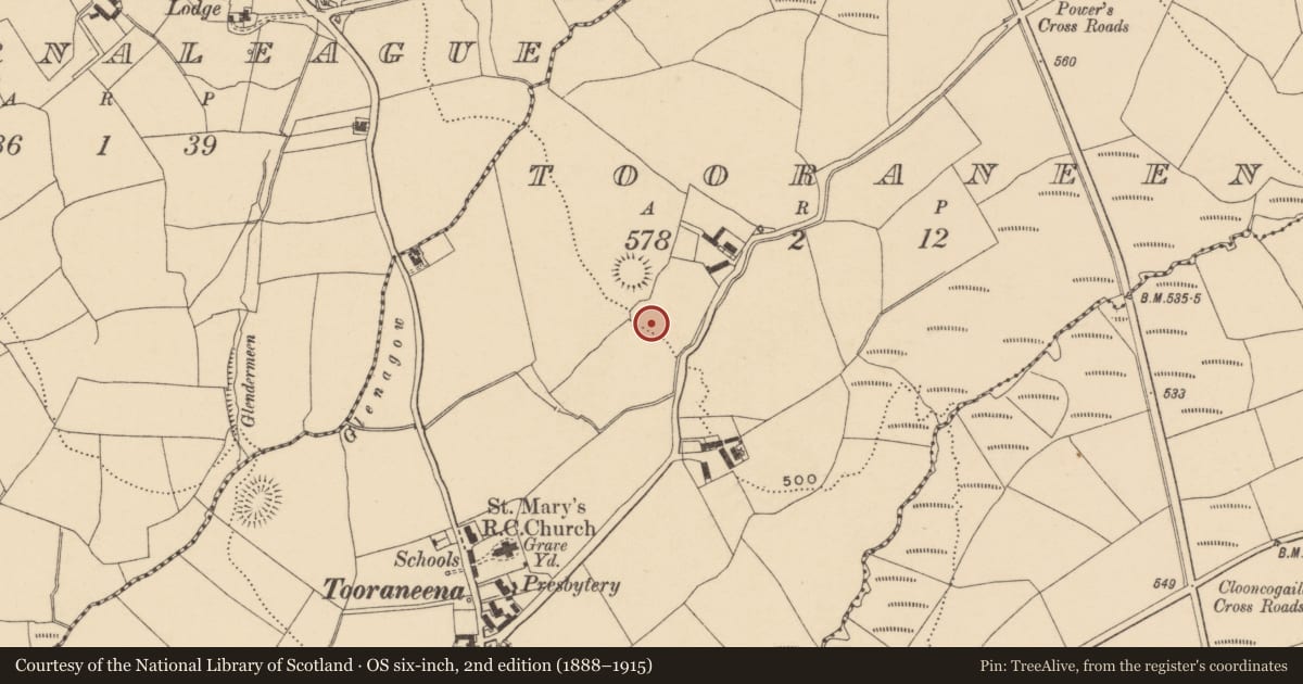 Ordnance Survey six-inch map, 2nd edition (1888–1915) covering the location of Standing stone, Tooraneena, County Waterford, with a pin at the register's coordinates