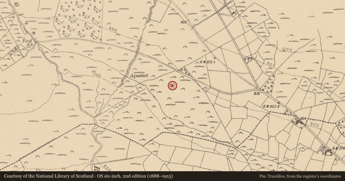 Ordnance Survey six-inch map, 2nd edition (1888–1915) covering the location of Sheepfold, Comeraghmountain, County Waterford, with a pin at the register's coordinates