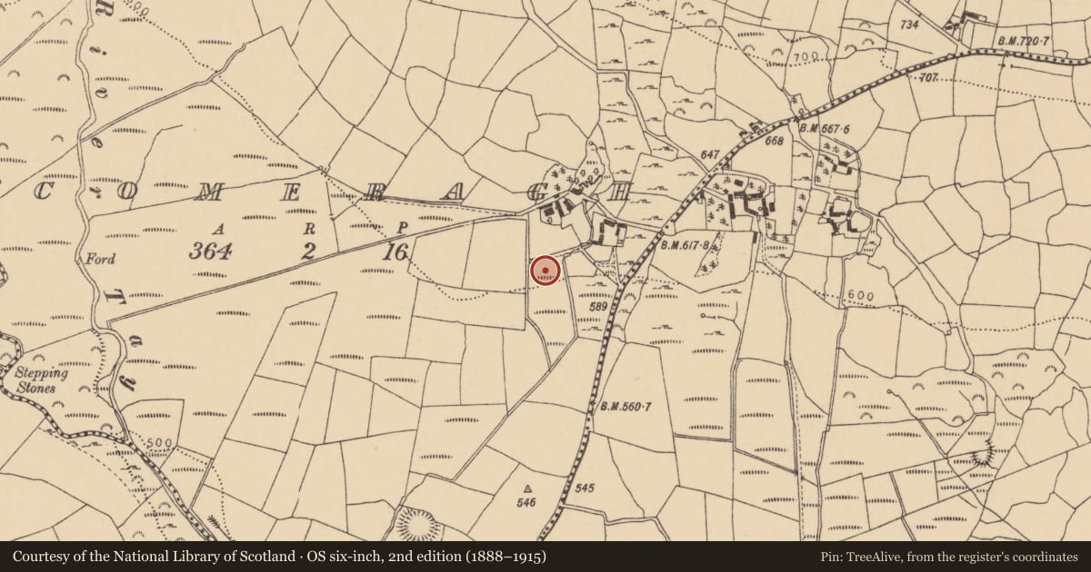 Ordnance Survey six-inch map, 2nd edition (1888–1915) covering the location of Ringfort - rath, Comeragh, County Waterford, with a pin at the register's coordinates