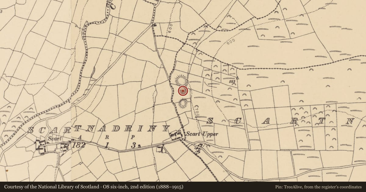 Ordnance Survey six-inch map, 2nd edition (1888–1915) covering the location of Ringfort - rath, Scartnadrinymountain, County Waterford, with a pin at the register's coordinates
