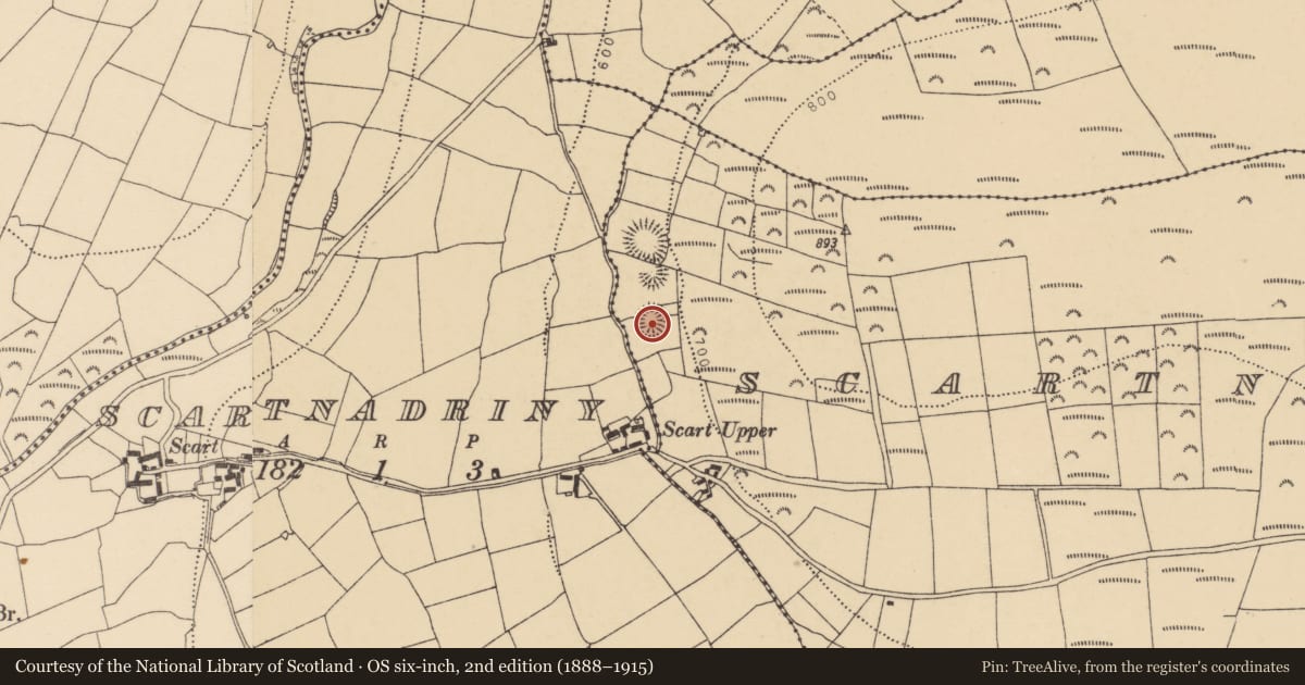 Ordnance Survey six-inch map, 2nd edition (1888–1915) covering the location of Souterrain, Scartnadrinymountain, County Waterford, with a pin at the register's coordinates