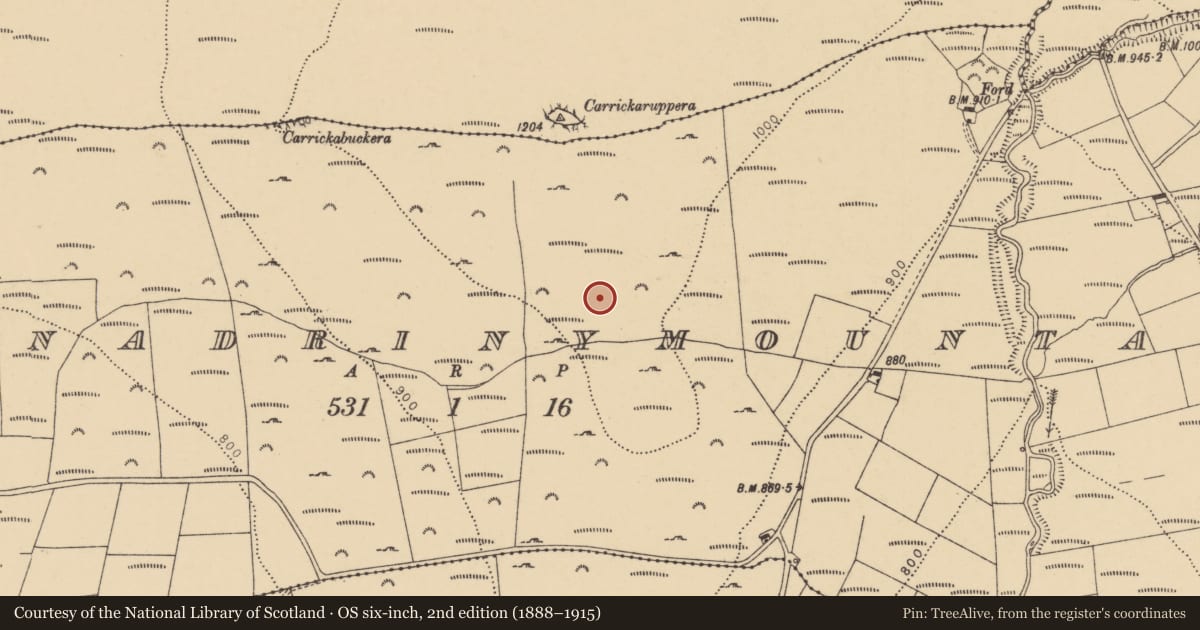 Ordnance Survey six-inch map, 2nd edition (1888–1915) covering the location of Kerb circle, Scartnadrinymountain, County Waterford, with a pin at the register's coordinates