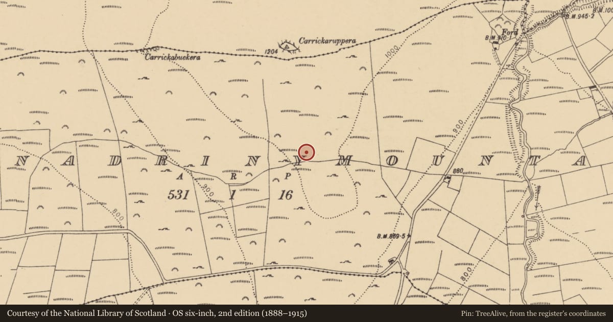 Ordnance Survey six-inch map, 2nd edition (1888–1915) covering the location of Cairn - unclassified, Scartnadrinymountain, County Waterford, with a pin at the register's coordinates