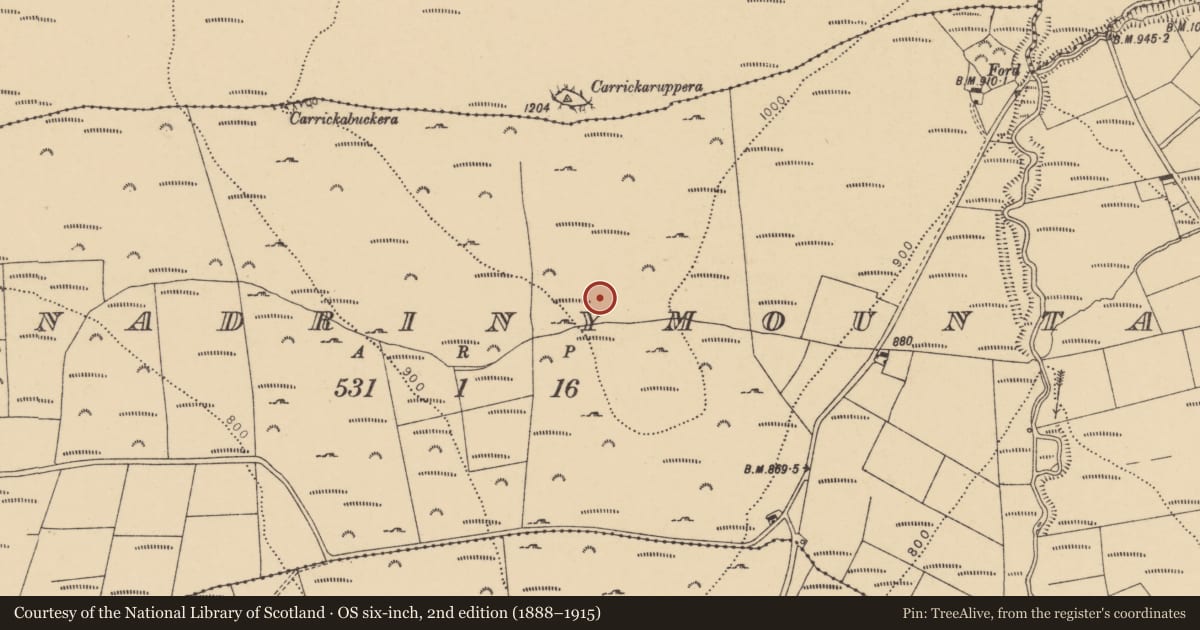 Ordnance Survey six-inch map, 2nd edition (1888–1915) covering the location of Field boundary, Scartnadrinymountain, County Waterford, with a pin at the register's coordinates