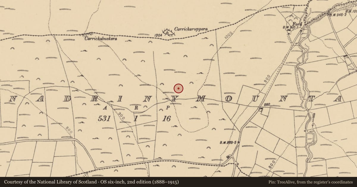 Ordnance Survey six-inch map, 2nd edition (1888–1915) covering the location of Cist, Scartnadrinymountain, County Waterford, with a pin at the register's coordinates