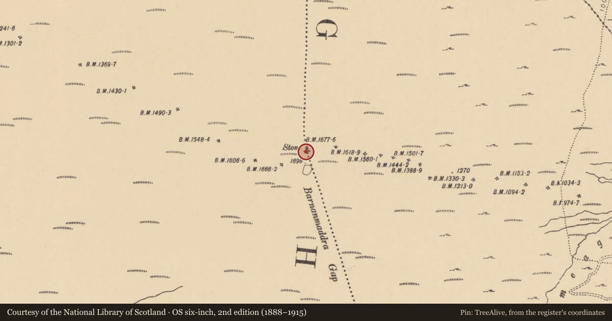 Ordnance Survey six-inch map, 2nd edition (1888–1915) covering the location of Standing stone, Cutteen South, Coumaraglinmountain, County Waterford, with a pin at the register's coordinates