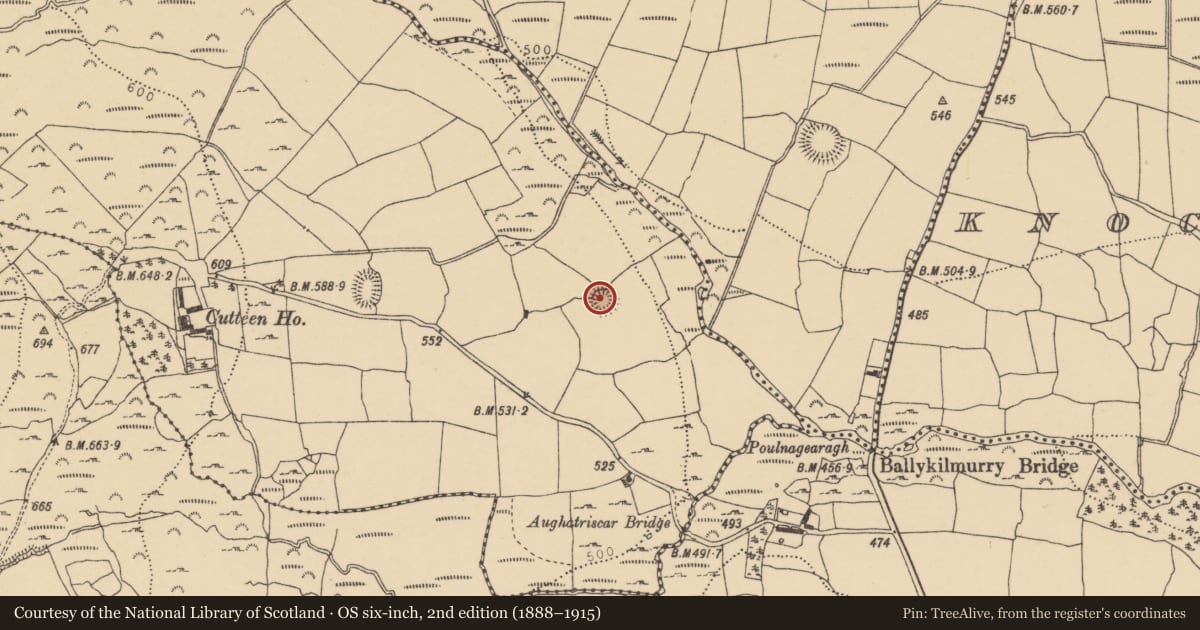 Ordnance Survey six-inch map, 2nd edition (1888–1915) covering the location of Enclosure, Cutteen North, County Waterford, with a pin at the register's coordinates