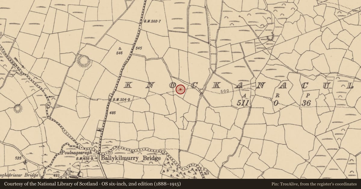 Ordnance Survey six-inch map, 2nd edition (1888–1915) covering the location of Enclosure, Knockanacullin, County Waterford, with a pin at the register's coordinates