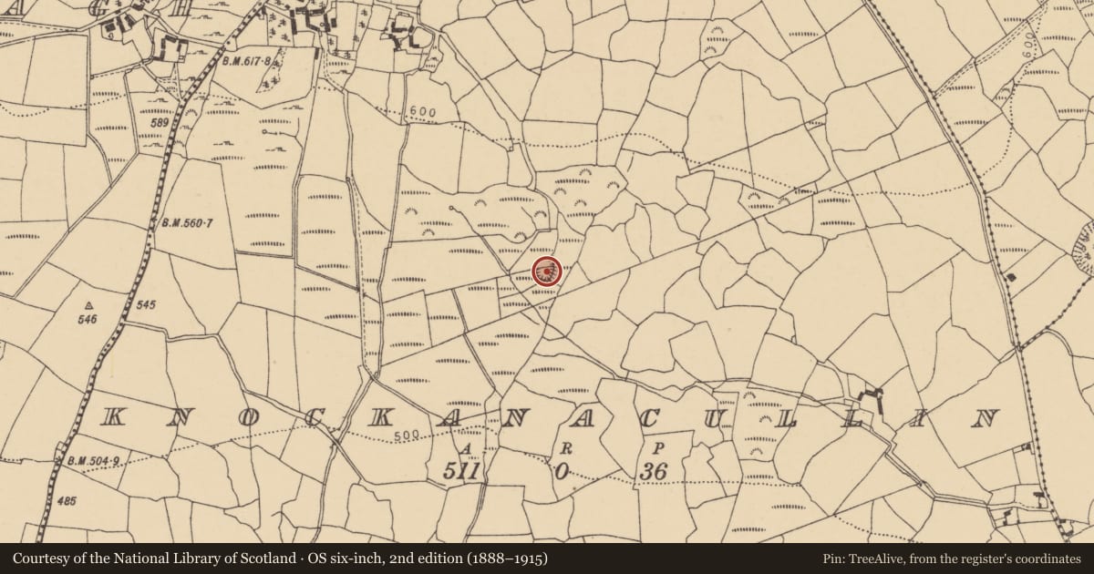 Ordnance Survey six-inch map, 2nd edition (1888–1915) covering the location of Ringfort - unclassified, Knockanacullin, County Waterford, with a pin at the register's coordinates