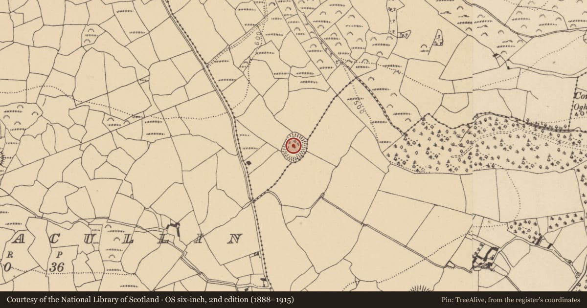 Ordnance Survey six-inch map, 2nd edition (1888–1915) covering the location of Bullaun stone, Crough, County Waterford, with a pin at the register's coordinates