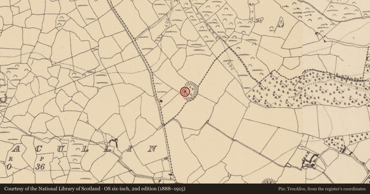 Ordnance Survey six-inch map, 2nd edition (1888–1915) covering the location of Church, Crough, County Waterford, with a pin at the register's coordinates