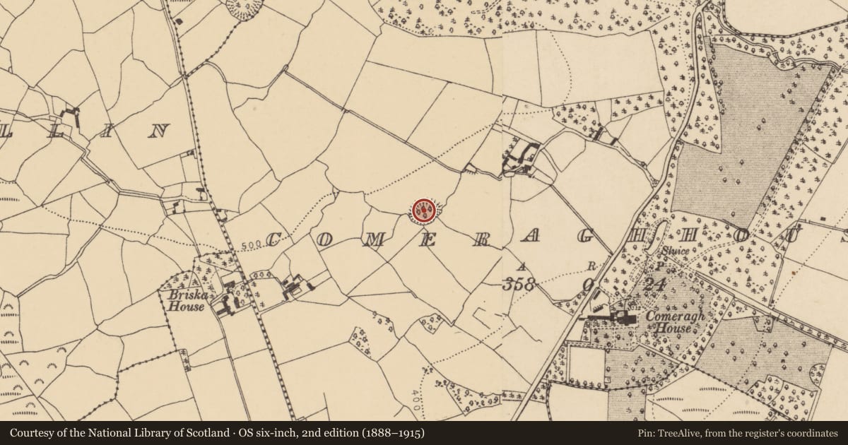Ordnance Survey six-inch map, 2nd edition (1888–1915) covering the location of Enclosure, Comeraghhouse, County Waterford, with a pin at the register's coordinates