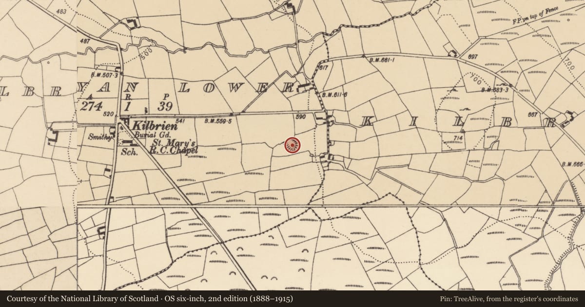 Ordnance Survey six-inch map, 2nd edition (1888–1915) covering the location of Ringfort - rath, Kilbryan Lower, County Waterford, with a pin at the register's coordinates
