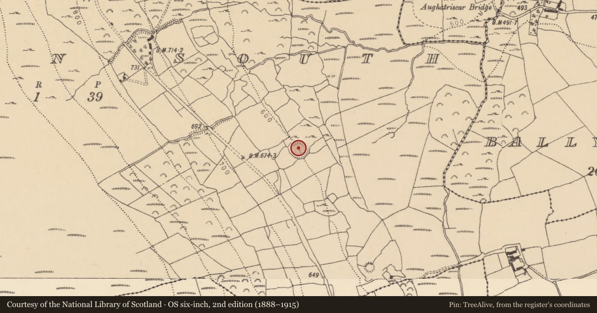 Ordnance Survey six-inch map, 2nd edition (1888–1915) covering the location of Ringfort - rath, Cutteen South, County Waterford, with a pin at the register's coordinates